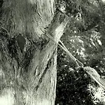 Ξενοδοχείο με διαμερίσματα La Francigena 2*