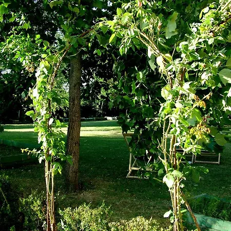 La Francigena 2* Staggia