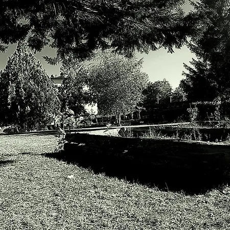 La Francigena